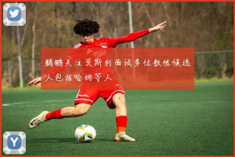 鹈鹕关注莫斯利面试多位教练候选人包括哈姆等人