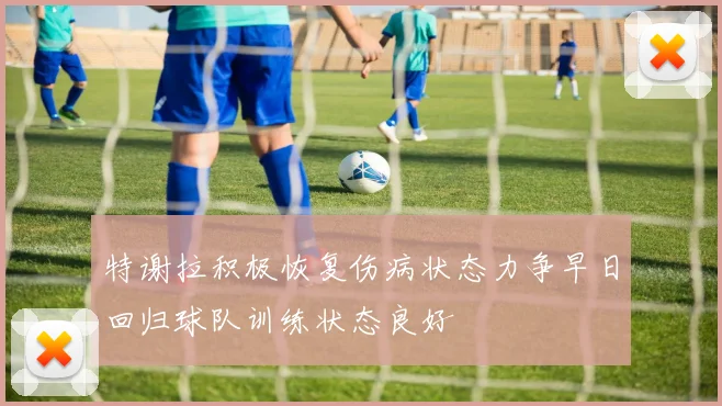 特谢拉积极恢复伤病状态力争早日回归球队训练状态良好