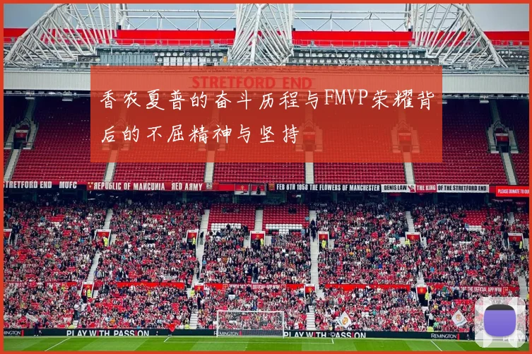 香农夏普的奋斗历程与FMVP荣耀背后的不屈精神与坚持